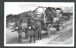 RPPC* Mules Pull Covered Wagon Prairie Schooner W/Man Real Photo Repro Mint