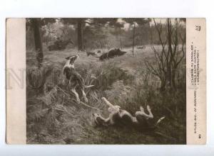 223615 FRANCE Borchard wild boar hunting dogs SALON 1910 old