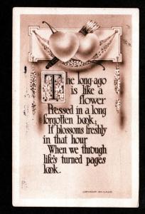 U S 1912 Poem Picture Postcard!