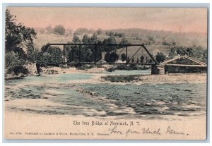 c1905 The Iron Bridge River Scene At Neversink New York NY Antique Postcard 