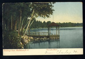 Wolfeboro, New Hampshire/NH Postcard, The Lake Shore, Dock