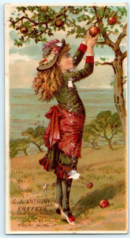 x2 SET c1880s Troy, New York C.A Anthony Coffee Trade Card Cute Young Girls C16