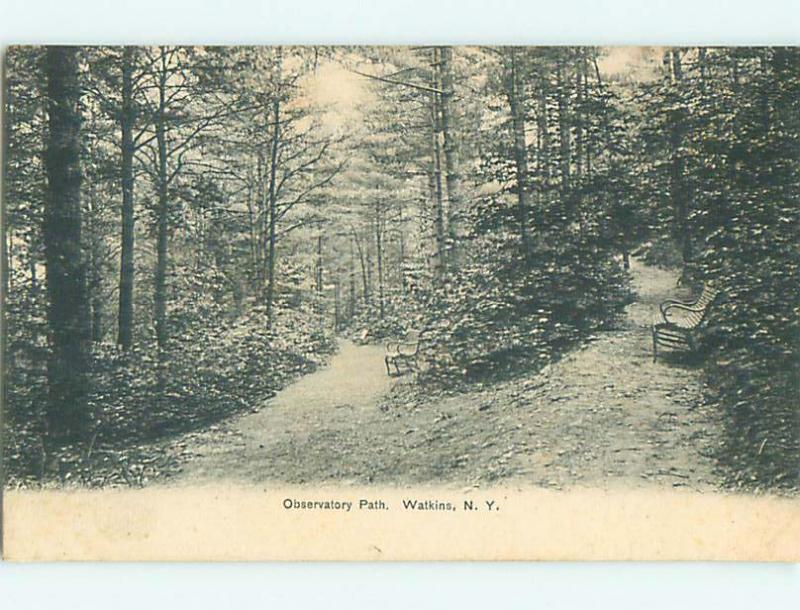 Unused Pre-1907 OBSERVATORY PATH IN WOODS Watkins New York NY t3245