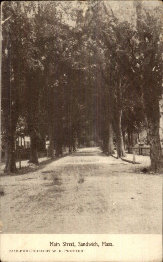 Sandwich Cape Cod Ma Main St C1910 Postcard Proctor United States