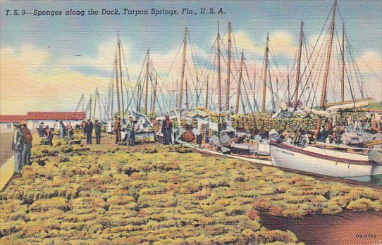 Florida Tarpon Springs Spong Boats and Sponges At The Docks Curteich