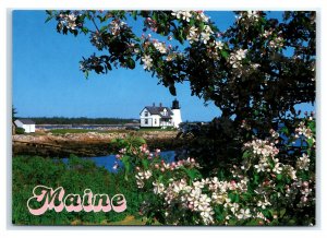 Postcard Prospect Harbor Light Lighthouse, Maine ME MS832