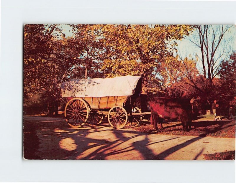 Postcard  Conestoga wagon drawn by two huge oxen, New Salem State Park, Illinois