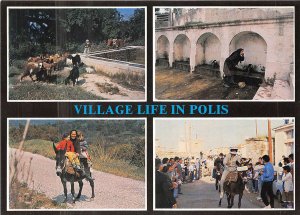 Lot 1 Cyprus polis  village life donkey riding goat folklore types