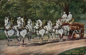 Armour World Famous Horse Team c1910 Postcard