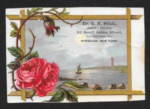 VICTORIAN TRADE CARD Dr Hill Dentist Rose & Sea View