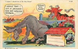 Comic Humor Dog House Donkey Cow Postcard Teich linen 391