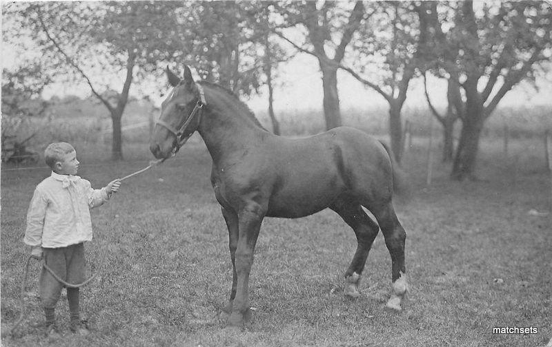 1910 Kelley Iowa Boy Horse Story County RPPC Real photo postcard 8880