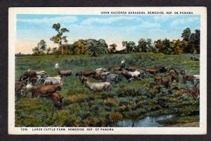 PANAMA Cattle Ranch Farm REMEDIOS Rep of Panama Postcard Carte Postale Hazienda