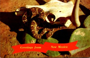 New Mexico Greetings With Diamond Back Rattlesnake