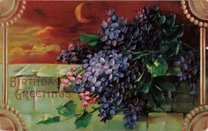 Circa 1911 Crescent Moon Light Gilded Embossed Floral Birthday Postcard 2T5-356