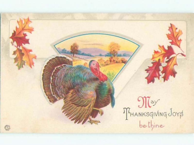 Divided-Back THANKSGIVING SCENE Great Postcard AA0489