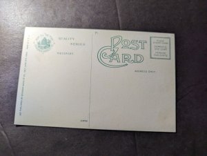 Mint USA Postcard The Mormon Temple Salt Lake City Utah UT Religion Church