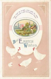 Easter Egg Vignette~Farm~White Embossed Hens & Chicks on Tan Back~IAPC 1908 PC 