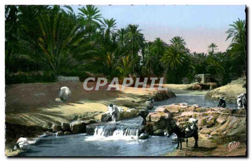 Old Postcard Scenes et Types A dam on Wadi The Donkey Donkey