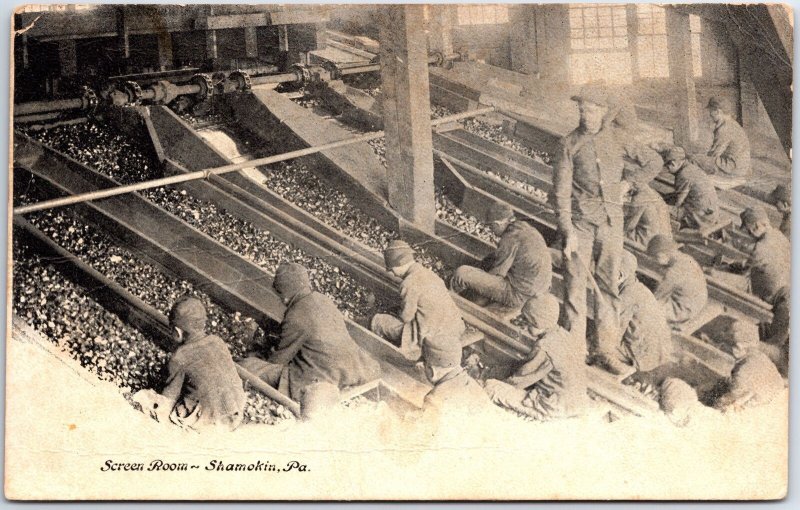 VINTAGE POSTCARD THE (COAL) SCREEN ROOM AT SHAMOKIN PA c. 1900 [CHILDREN] [RARE]