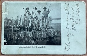 RPPC? Afternoon Rabbit Hunt Deming NM PM 3/4/1907 Territorial LB