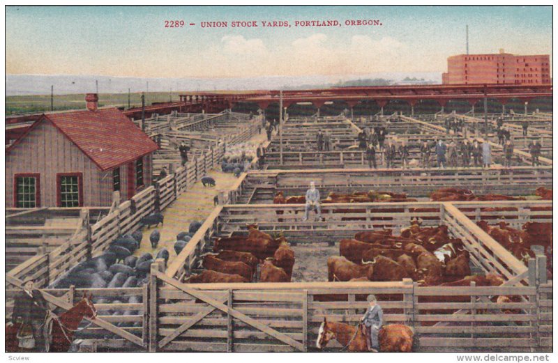 PORTLAND, Oregon, 1900-1910's; Union Stock Yards