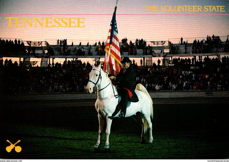 Tennessee The Volunteer State Tennessee Walking Horse