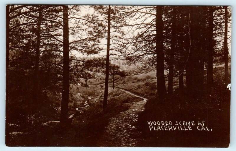 RPPC PLACERVILLE, CA  Pathway WOODED SCENE 1916  El Dorado County  Postcard