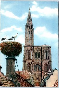 Postcard - L'Alsace Pittoresque - Souvenir de Strasbourg, France