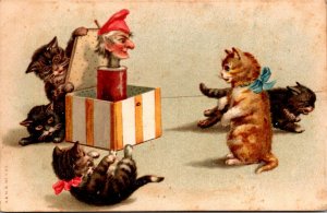 Humour Cats Playing With Jack In Box 1908