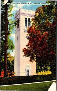 Postcard TOWER SCENE Madison Wisconsin WI AL8826