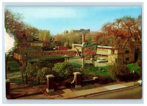 Vintage Neon Sign Cars Street Algiers Motel Detroit. Postcard F147E