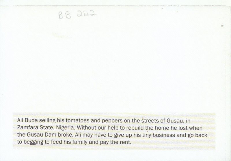 Nigeria Postcard - Ali Buda Selling His Tomatoes - Gusau, Zamfara State  TZ5003