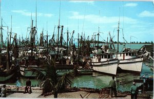 Chrome BOATS SCENE Key West Florida FL AH8109