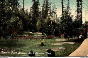 Washington Tacoma Scene In Point Defiance Park 1909
