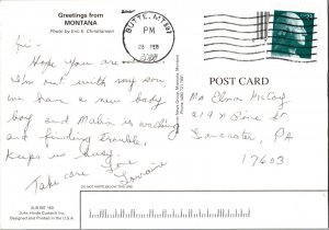 Greetings from MONTANA Continental Postcard Barn Farm CD5