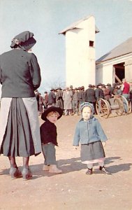 Amish People at Public Farm Sale Lancaster, Pennsylvania PA Postcards