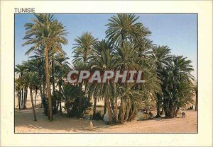 Postcard Modern Tunisia Sahara a Casis lost in the sands