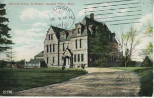 Harvard School Of Botany ~ Jamaica Plains Massachusetts MA Boston c1910 Postcard