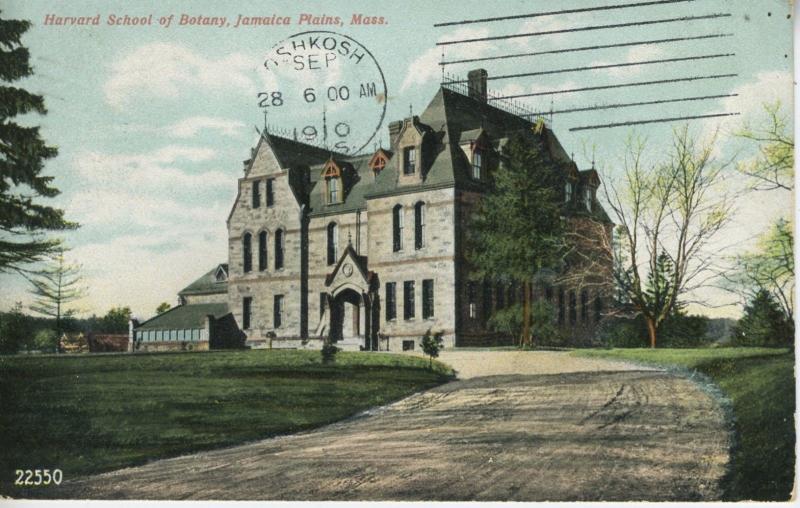 Harvard School Of Botany ~ Jamaica Plains Massachusetts MA Boston c1910 Postcard