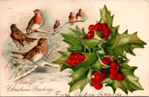 Birds Holly Berries Cedar Rapids Iowa IA Christmas Greetings Postcard