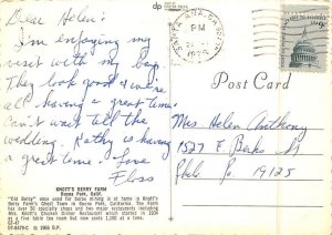 Greetings from Knott's Berry Farm Buena Park California Postcard