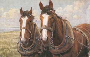 Two Working Horses Nice old vintage English postcard