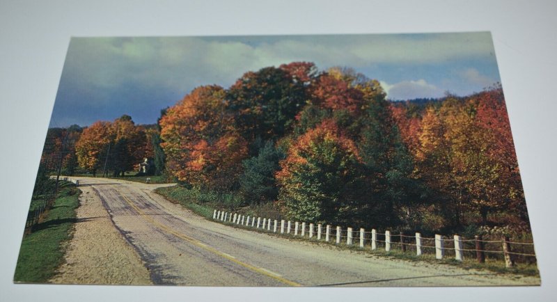 M. E. Hopkins General Store Erinsville Ontario Canada Postcard Colourpicture