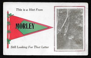 MP Morley, Mich. pennant' Scenic Picture Still looking for That Letter