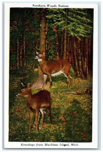 c1940 Greetings From Northern Woods Natives Mackinac Island Michigan MI Postcard