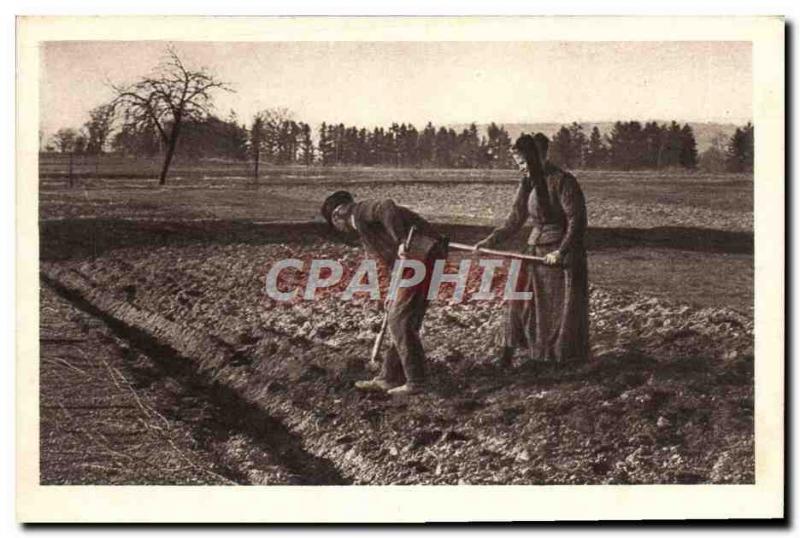 Old Postcard Folklore Peasants Crops