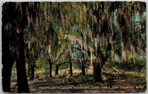 1914 Tropical Florida Scenery Live Oaks And Spanish Moss Florida Posted Postcard