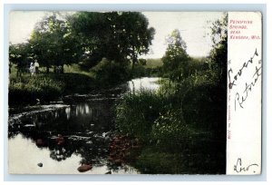 1907 Petrifying Springs Near Kenosha Wisconsin WI Quincy MA Posted Postcard 