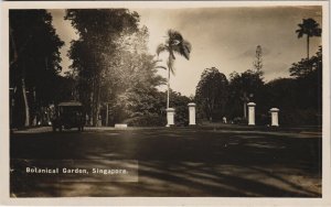 PC SINGAPORE, BOTANICAL GARDEN, Vintage REAL PHOTO Postcard (B42287)